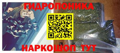 молекула духа Ставрополь