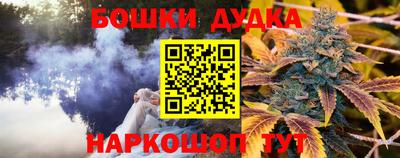 молекула духа Ставрополь