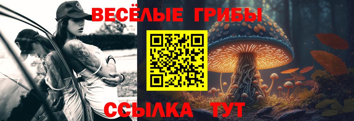 Псилоцибиновые грибы Psilocybe Мценск